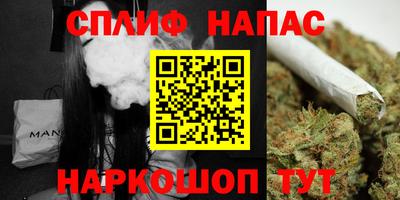 СК Тара