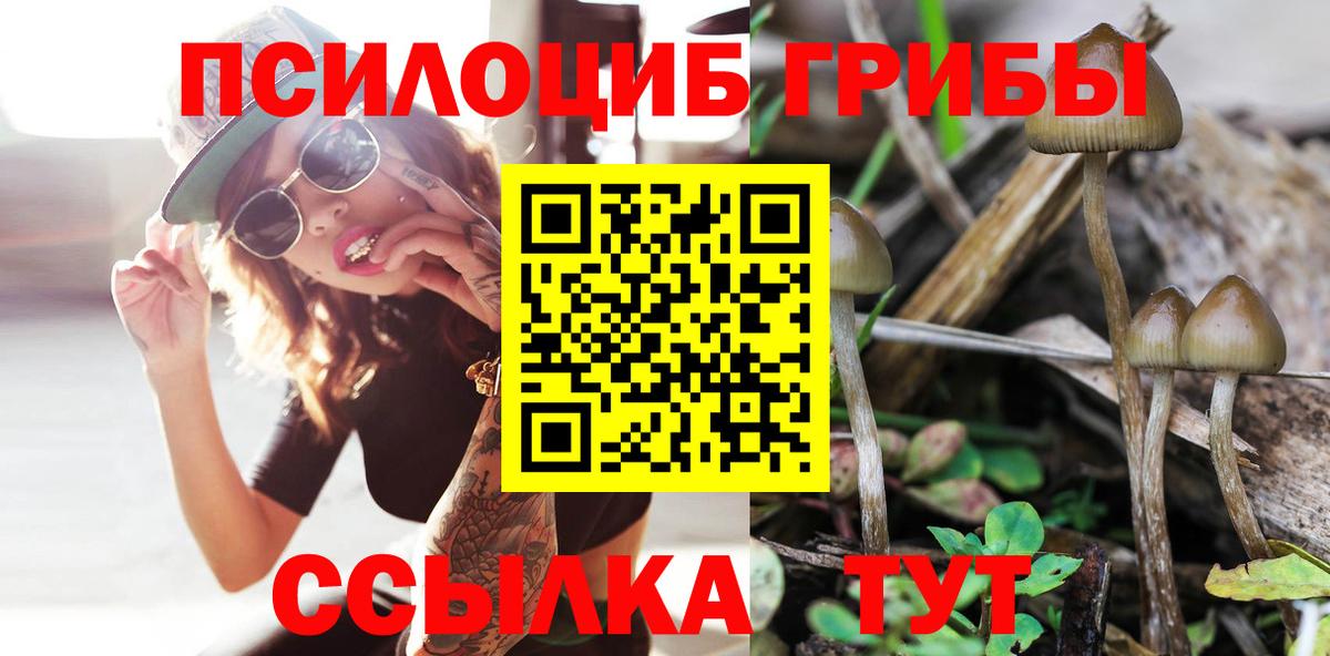 Орехово-Зуево  Псилоцибиновые грибы ЛСД  Вход с VPN 