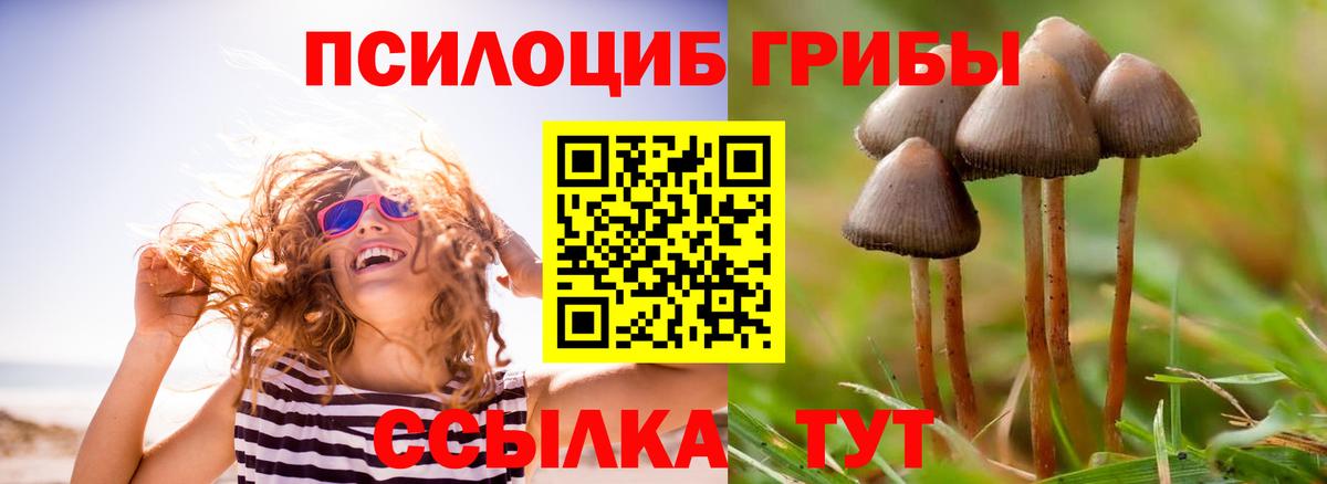 Псилоцибиновые грибы ЛСД Орехово-Зуево